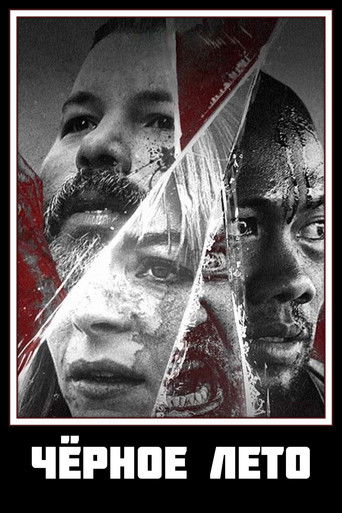 Постер сериала Чёрное лето