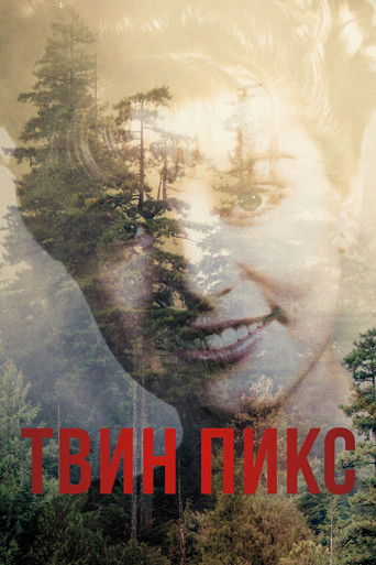 Постер сериала Твин Пикс